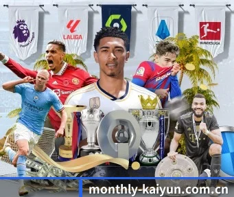 开云体育 APP | kaiyun