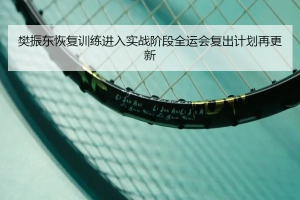 樊振东恢复训练进入实战阶段全运会复出计划再更新 - kaiyun
